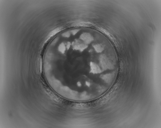 X0000111441219200908031346