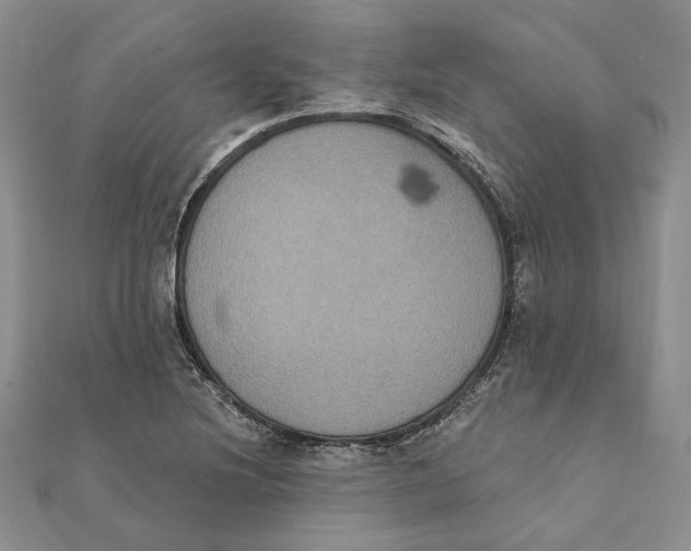 X0000111441220200908031346