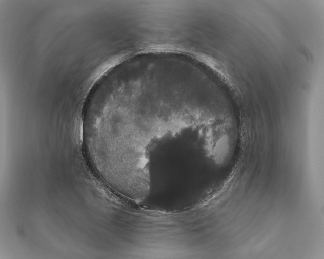 X0000111441221200908031346