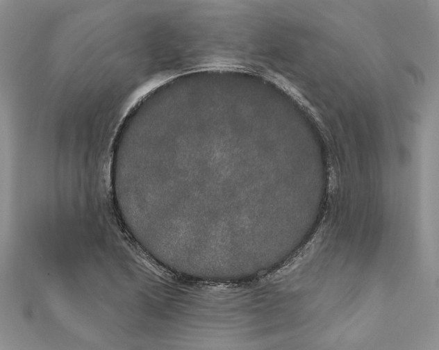 X0000111441222200908031346