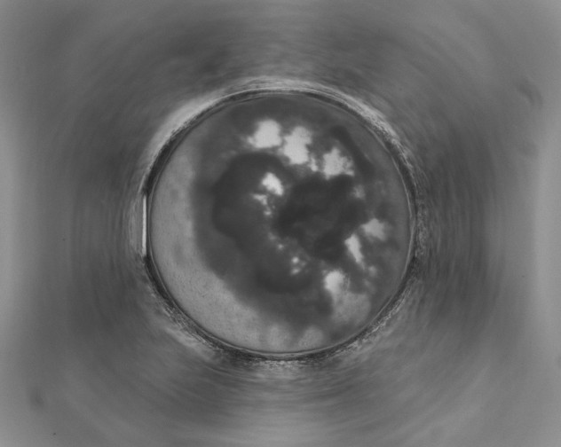 X0000111441223200908031346