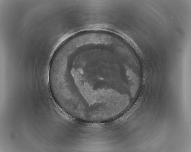 X0000111441224200908031346