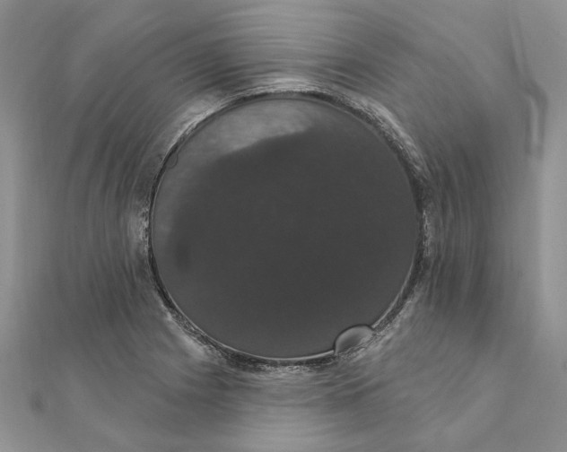 X0000111441225200908031346