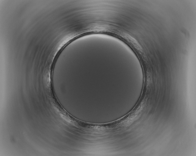 X0000111441226200908031346