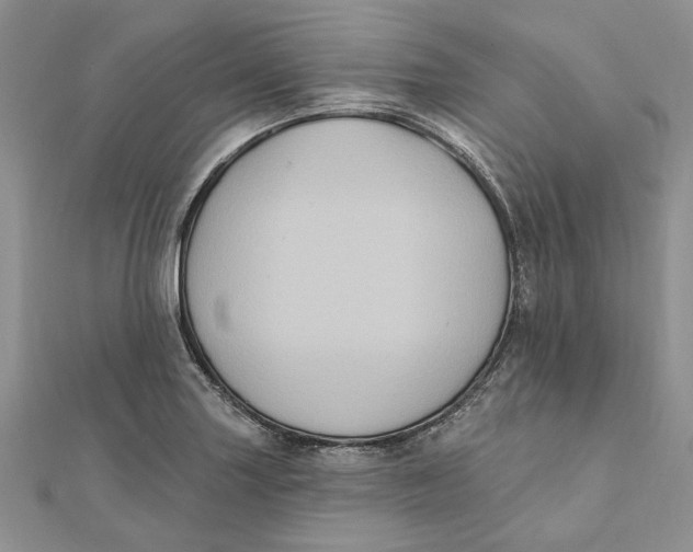 X0000111441227200908031346