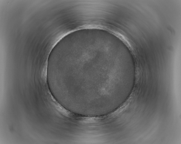 X0000111441228200908031346