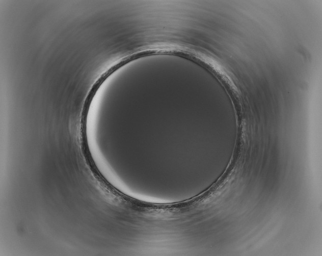 X0000111441229200908031346