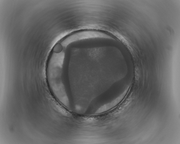 X0000111441230200908031346