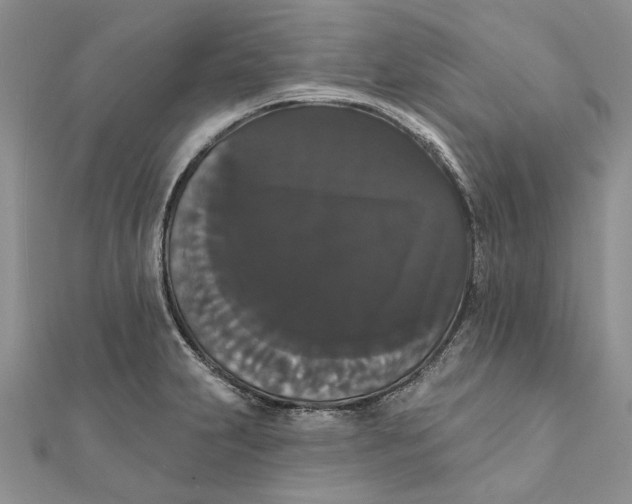 X0000111441231200908031346