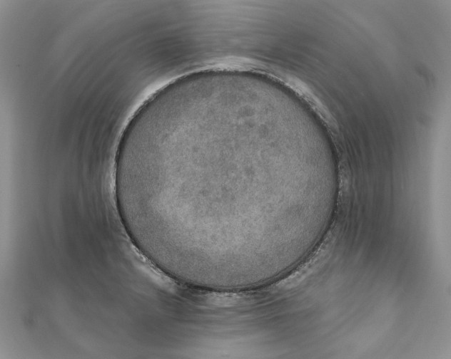 X0000111441232200908031346