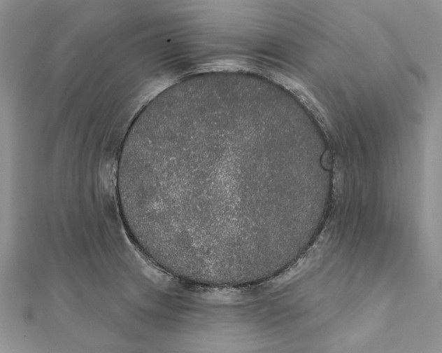 X0000111441233200908031346