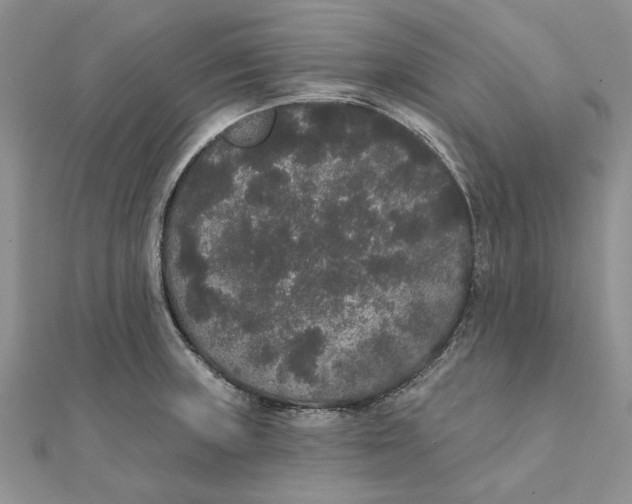 X0000111441235200908031346