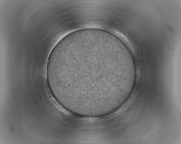 X0000111441236200908031346