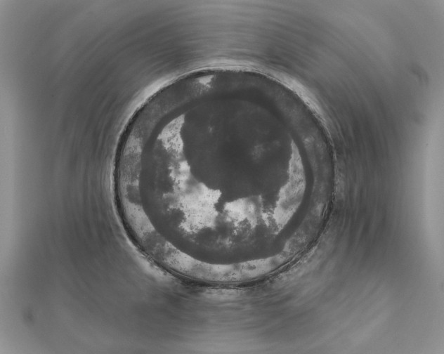 X0000111441237200908031346