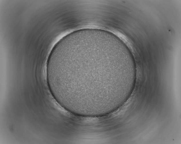 X0000111441238200908031346