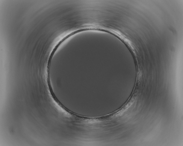 X0000111441239200908031346