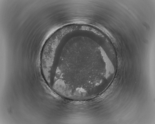 X0000111441240200908031346