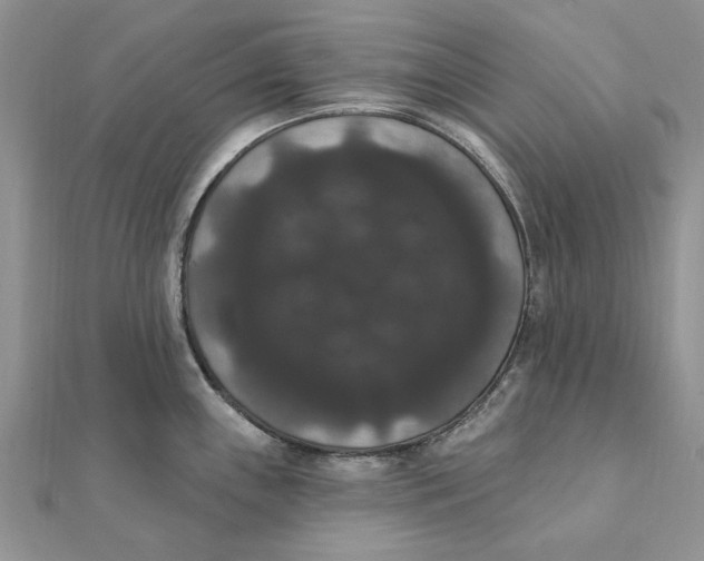 X0000111441243200908031346