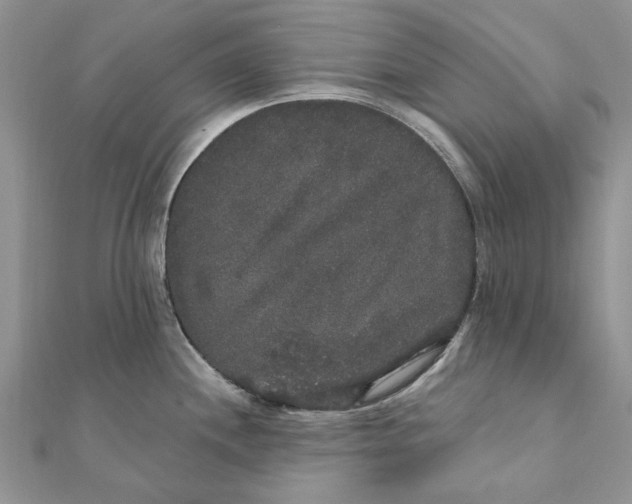 X0000111441244200908031346