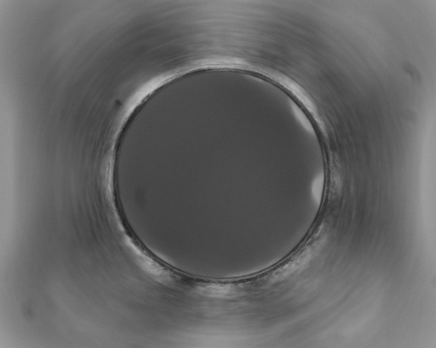 X0000111441245200908031346