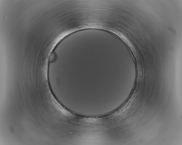 X0000111441246200908031346