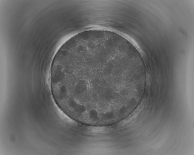 X0000111441247200908031346