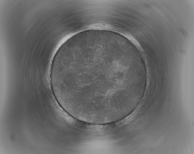 X0000111441248200908031346