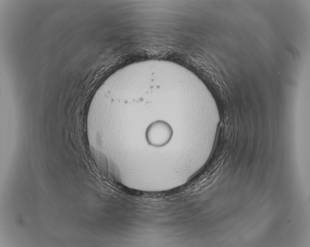 X0000111441249200908031345