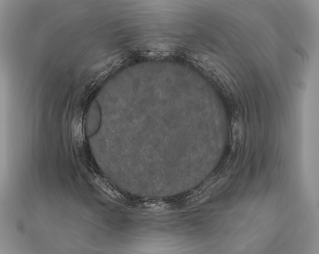 X0000111441250200908031345