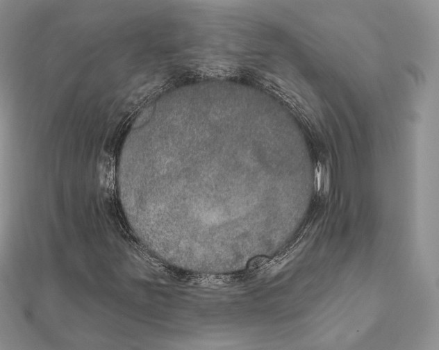 X0000111441251200908031345