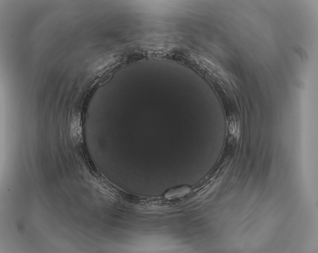 X0000111441252200908031345