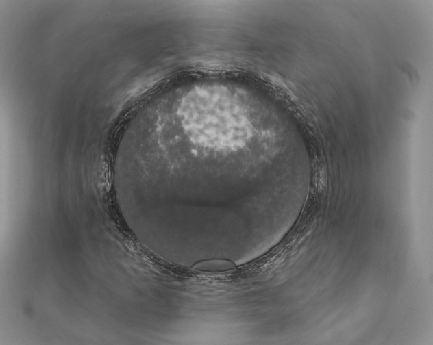 X0000111441253200908031345