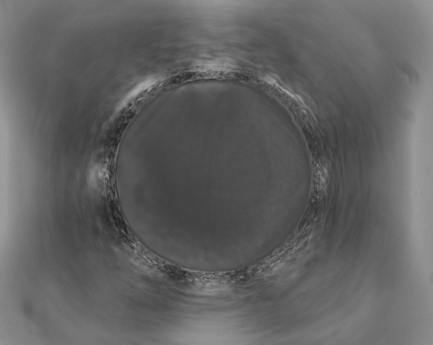 X0000111441254200908031345