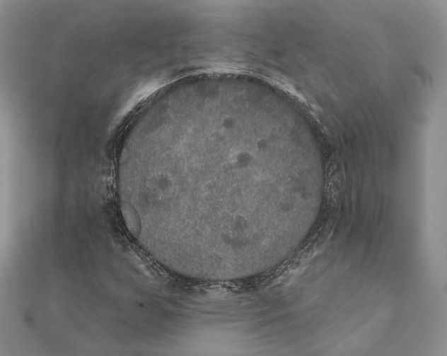 X0000111441255200908031345