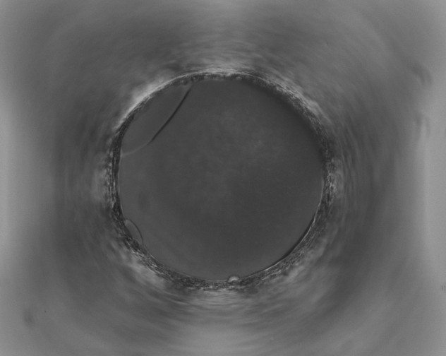 X0000111441256200908031345