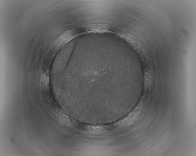 X0000111441257200908031345