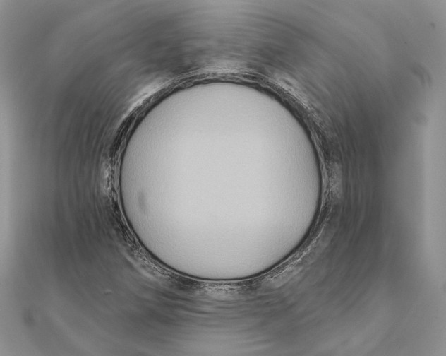 X0000111441258200908031345