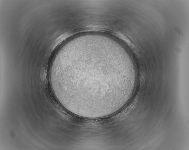 X0000111441259200908031345