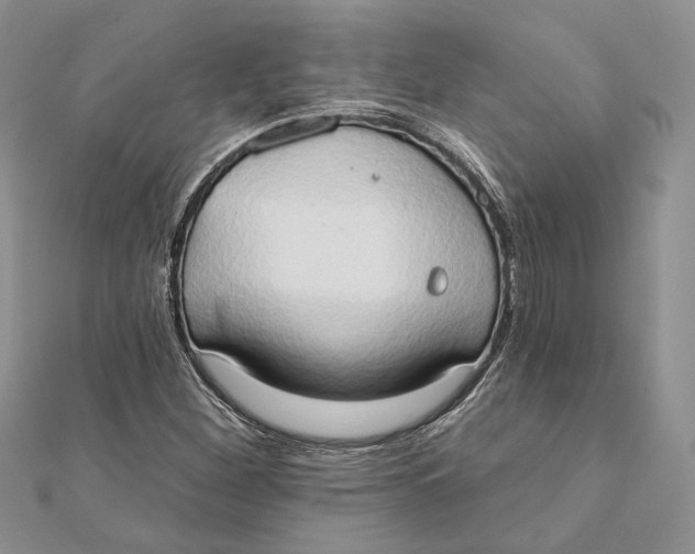 X0000111441260200908031345