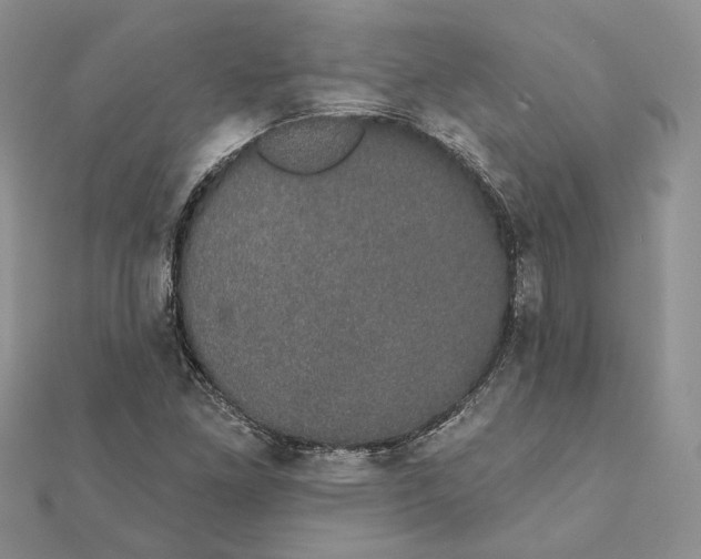 X0000111441261200908031345