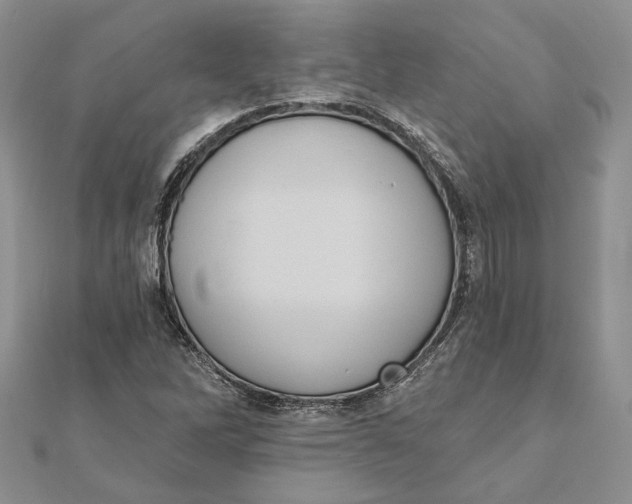 X0000111441262200908031345