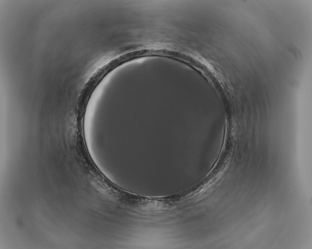 X0000111441263200908031345