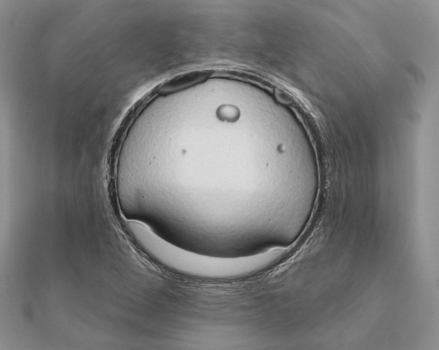 X0000111441264200908031345