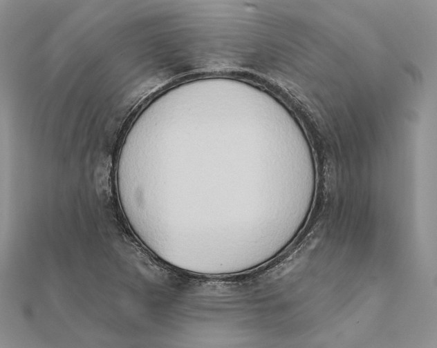 X0000111441265200908031345