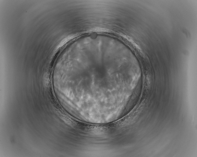 X0000111441266200908031345