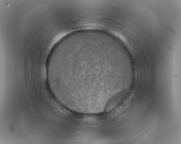 X0000111441267200908031345