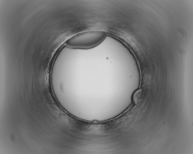 X0000111441268200908031345