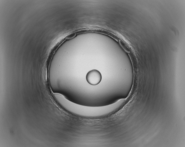 X0000111441269200908031345