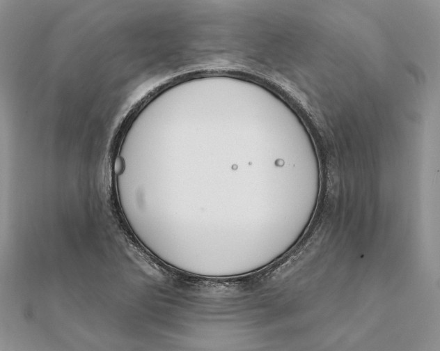 X0000111441270200908031345