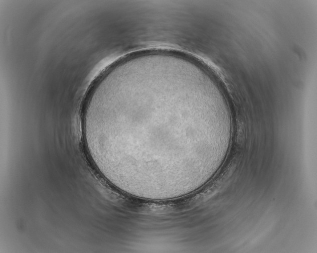 X0000111441271200908031345